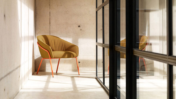 paloma_002 paloma_002